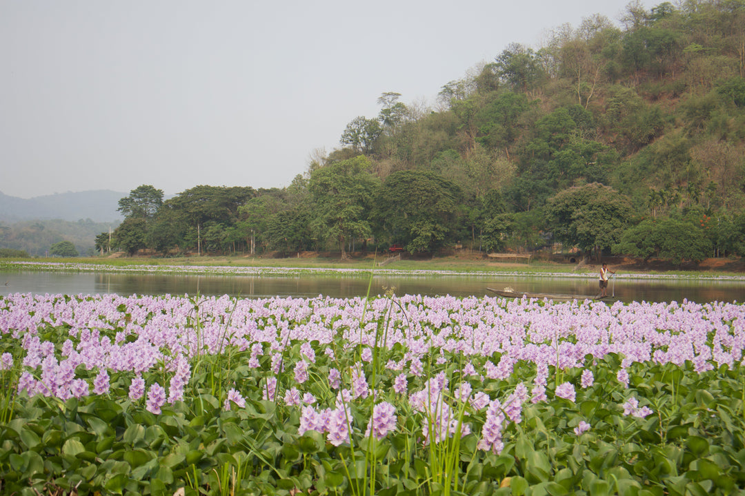 Fashion Rooted in Northeast Heritage