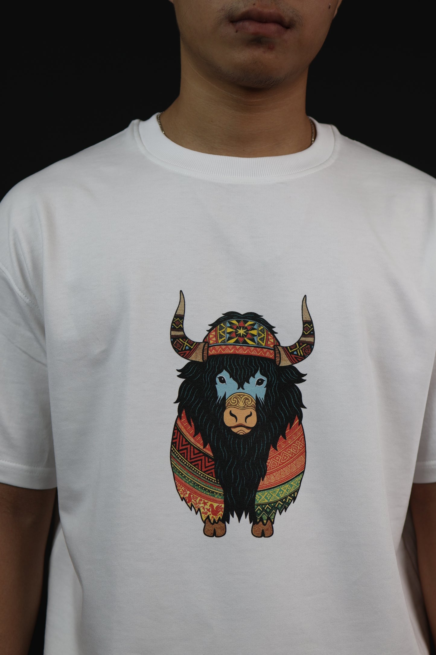 The Mighty Mithun - Arunachal Pradesh