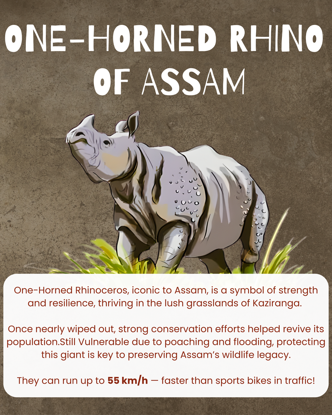 [Assam] One-horned rhino