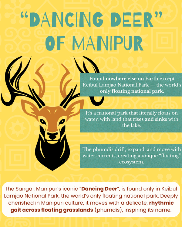 [Manipur] Sangai Embroidery